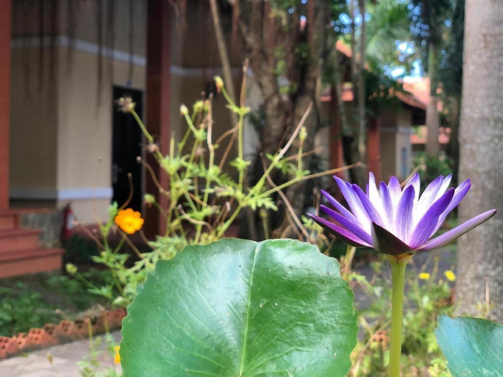 Castaways Resort Phu Quoc Exterior foto